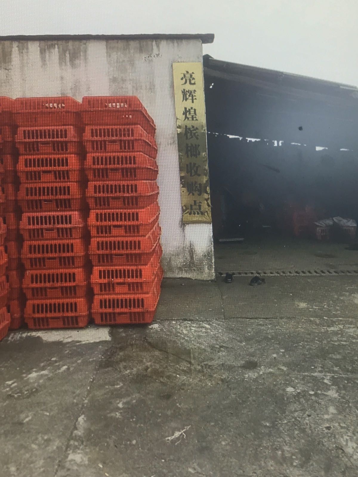 亮辉煌槟榔收购点