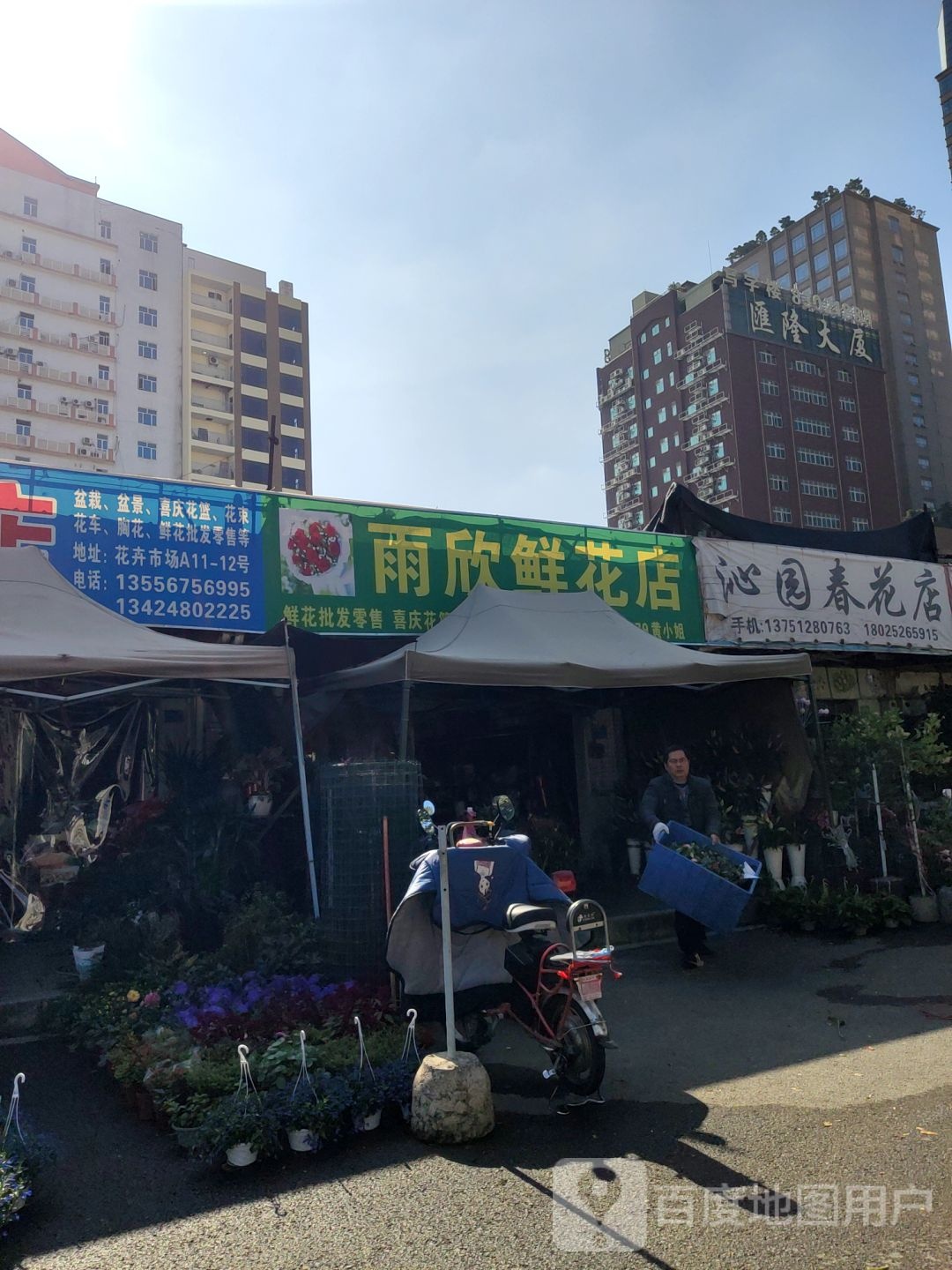 沁园春花店