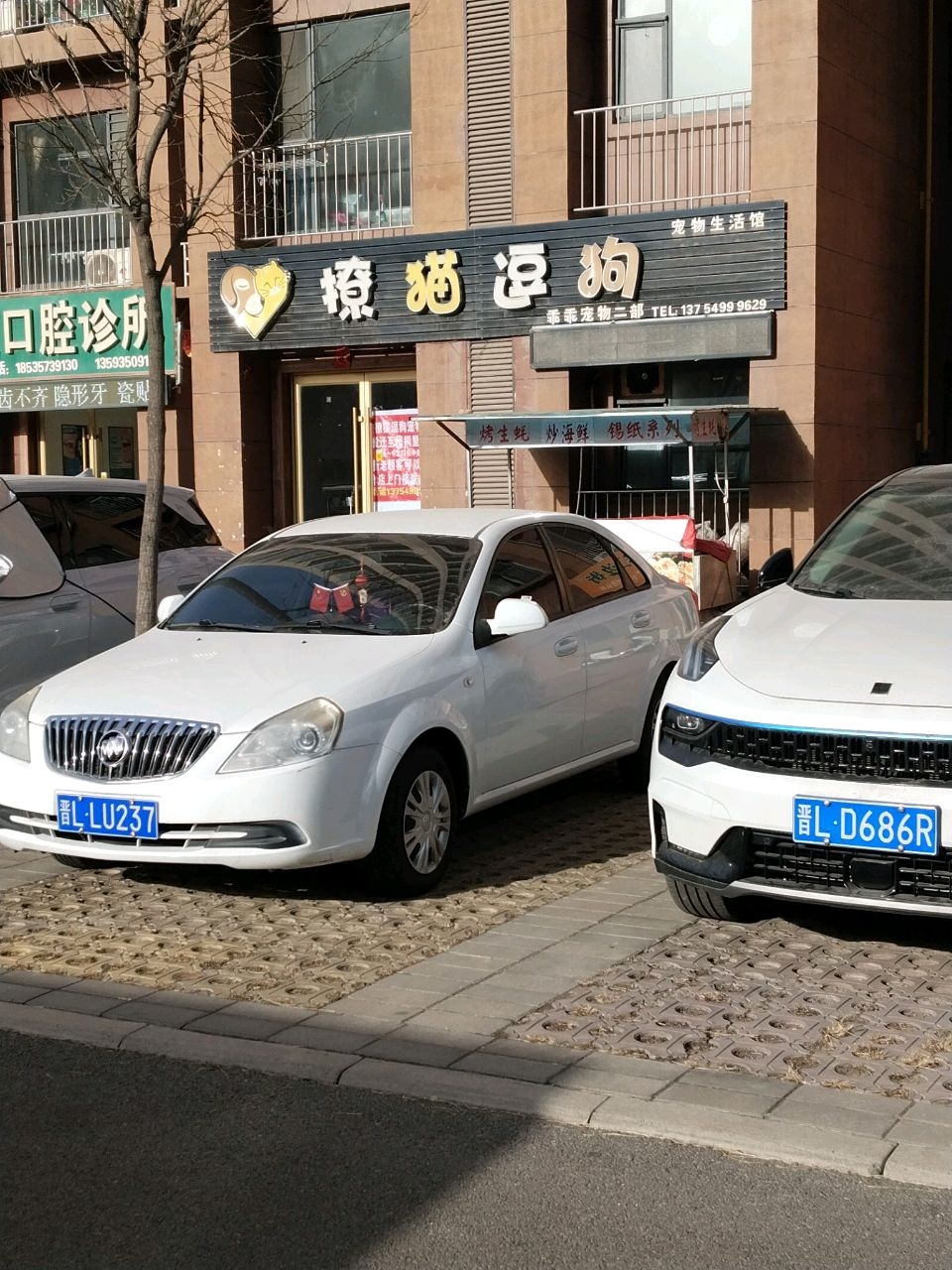 撩猫逗狗(西荣阁店)