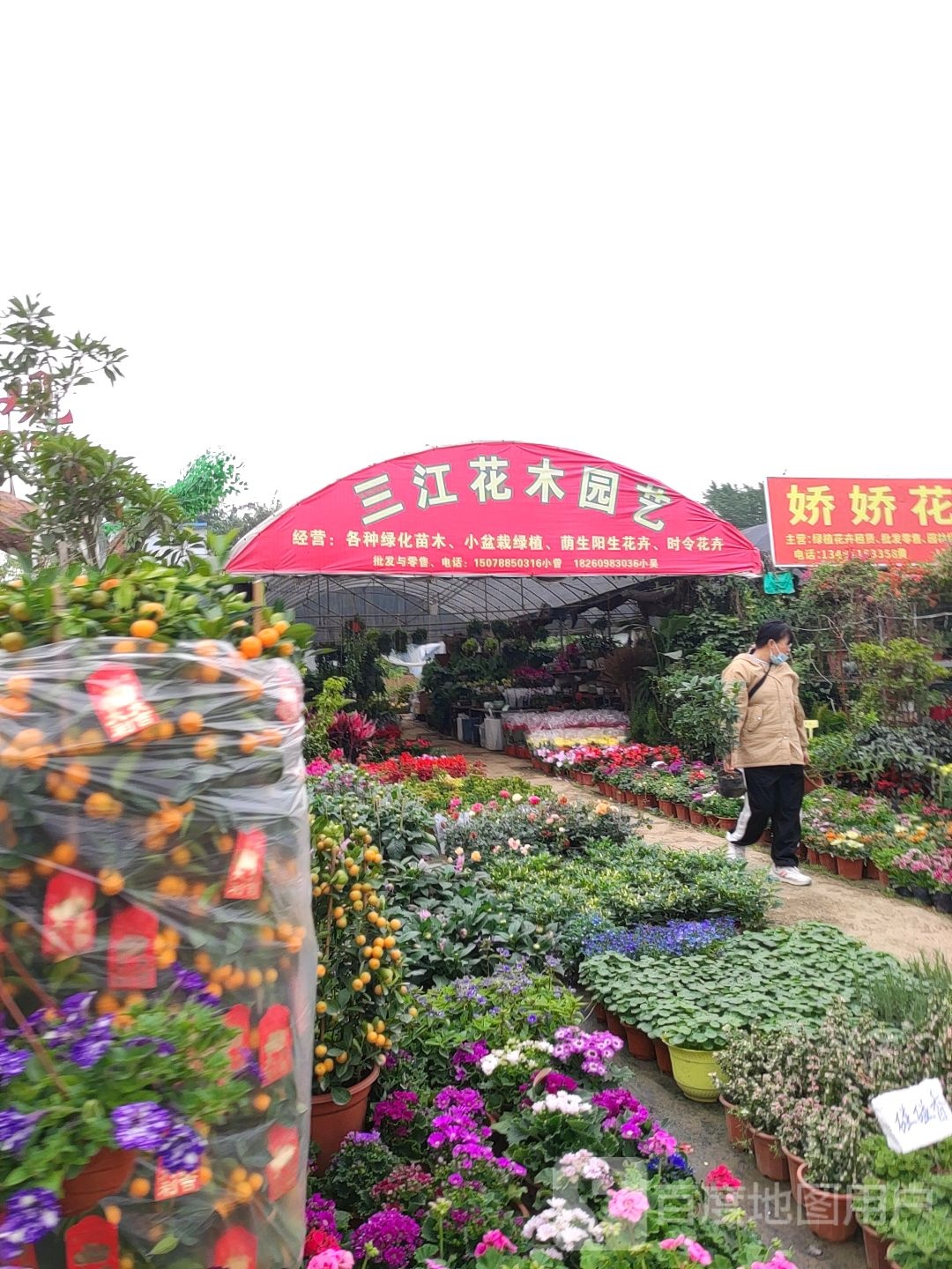 三江花木园艺