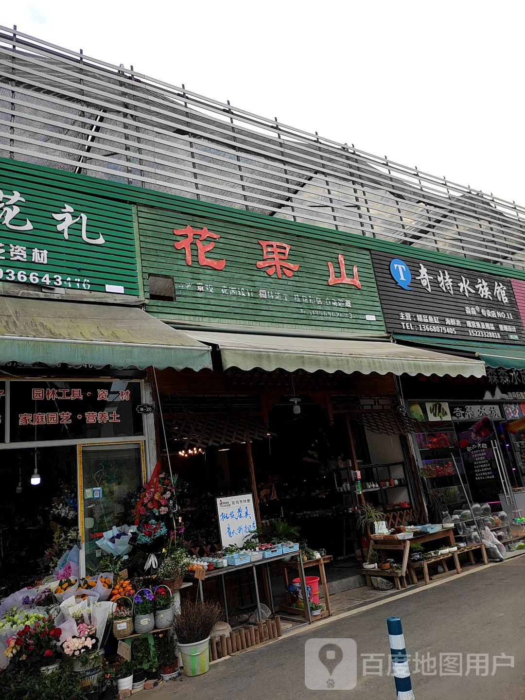片奇水族馆(熊婆婆的花园店)
