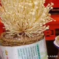 重庆巴九门火锅