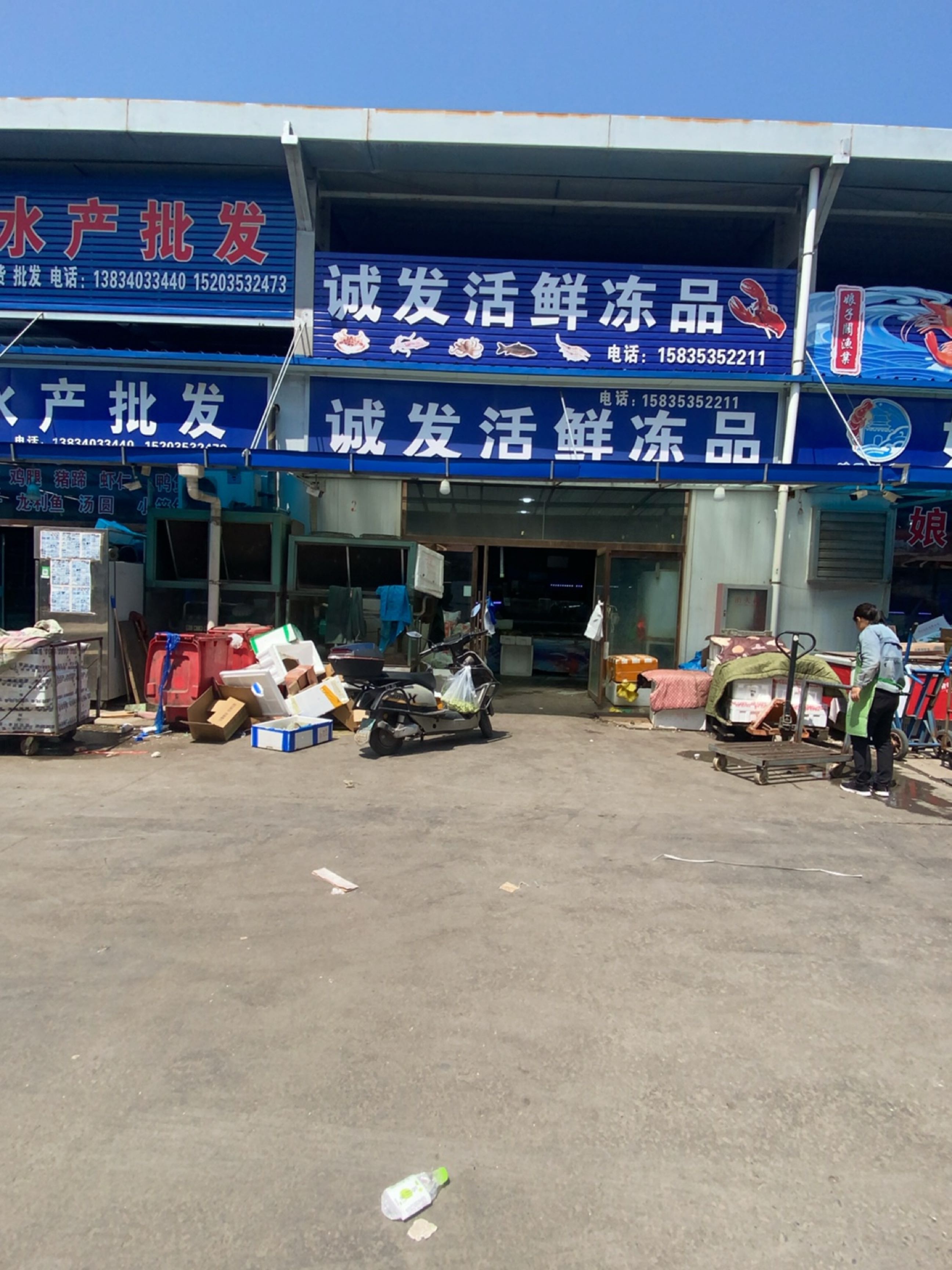冻品海鲜