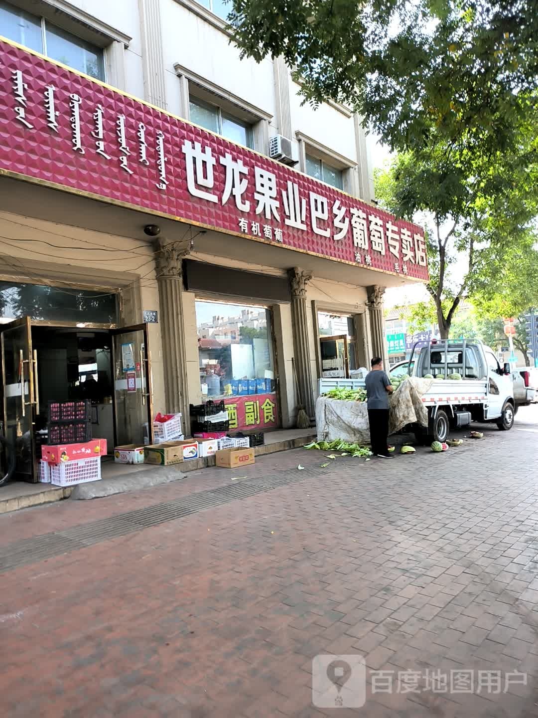 果业巴乡葡萄专卖店