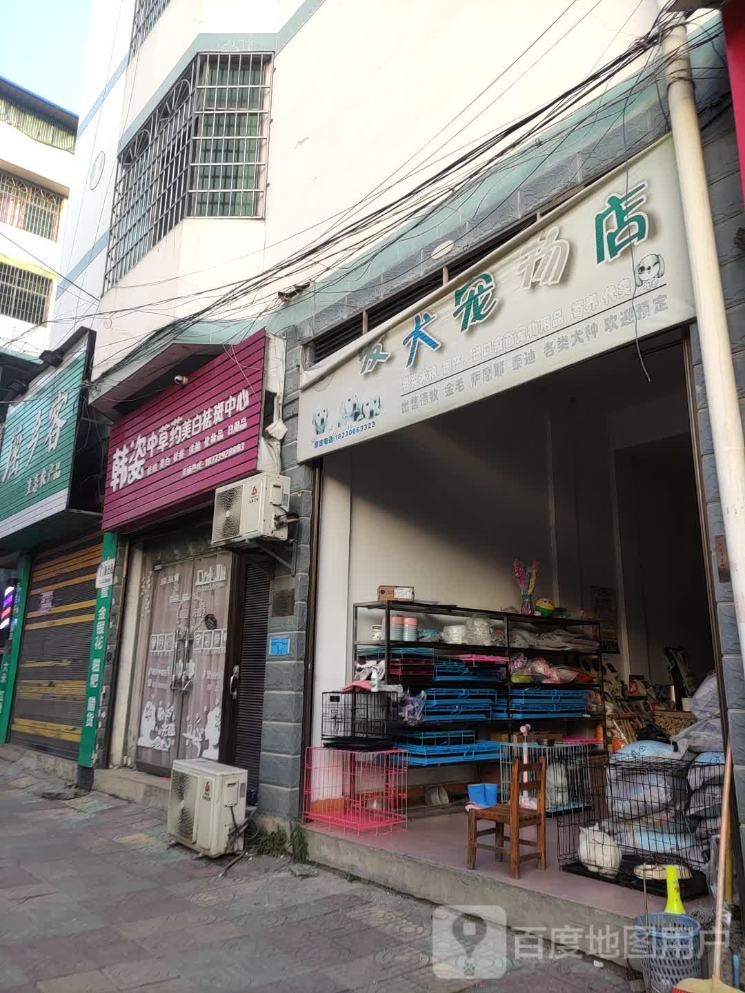 爱犬宠物店