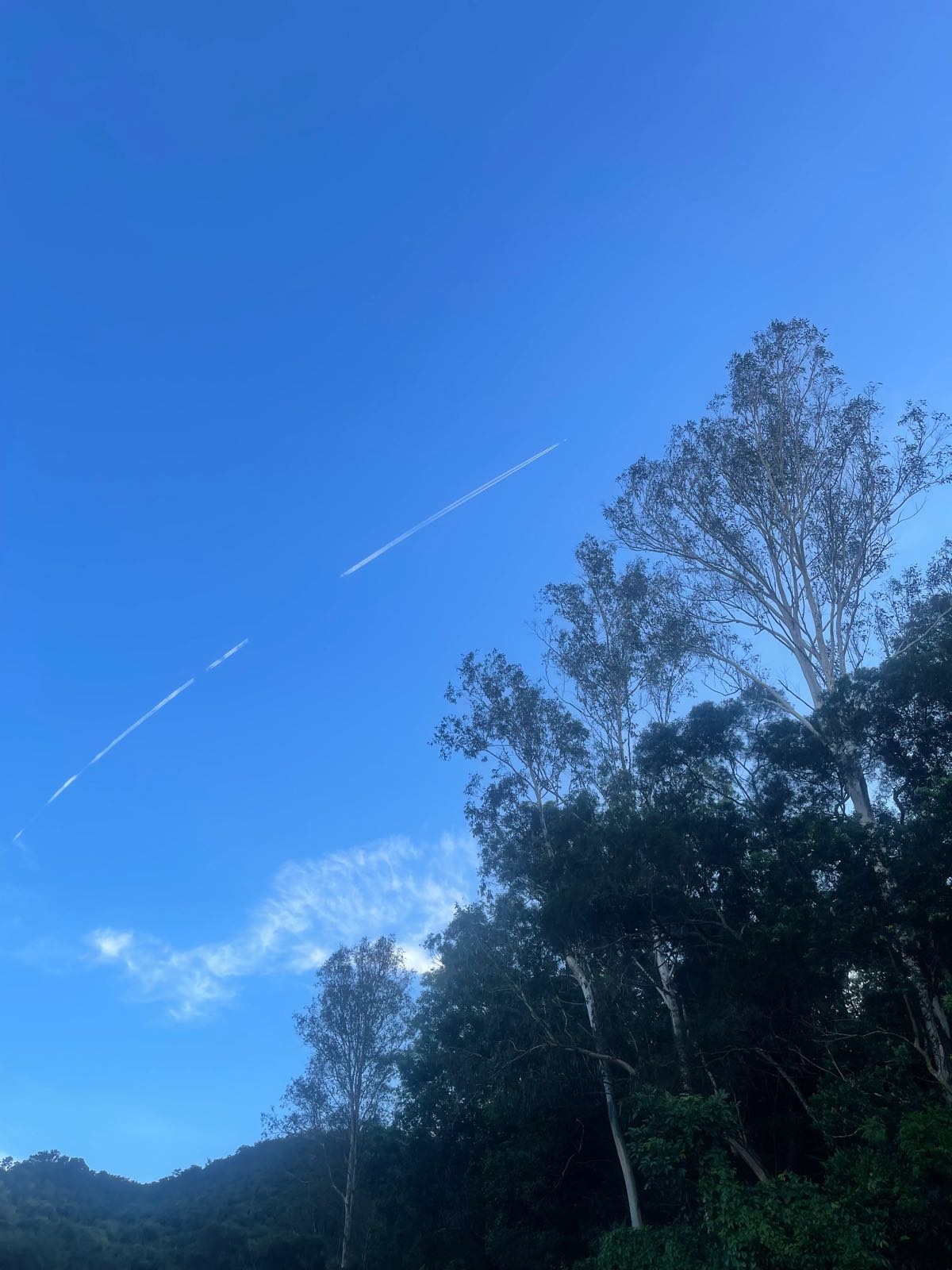 深圳太平洋钓鱼场