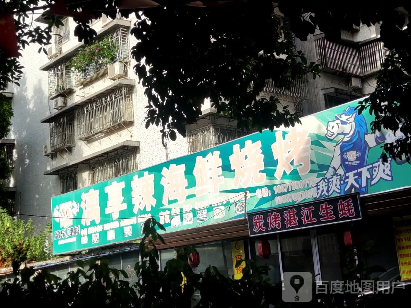 炭烤湛江生蚝庄