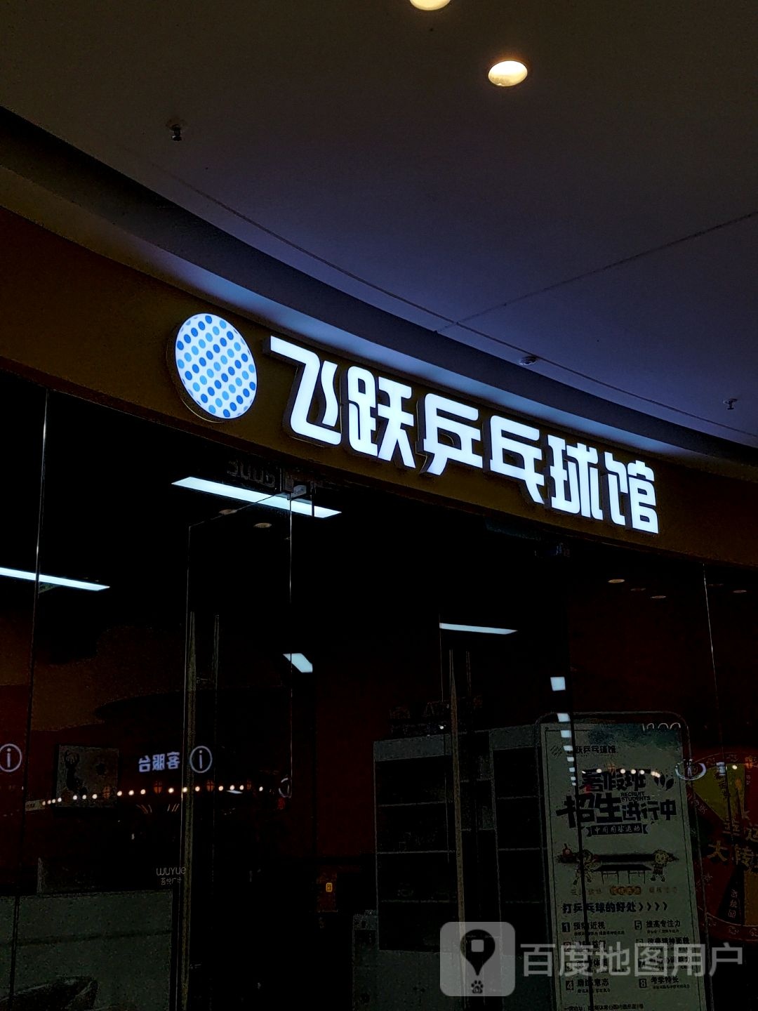 飞跃乒乓球馆(吾悦广场店)