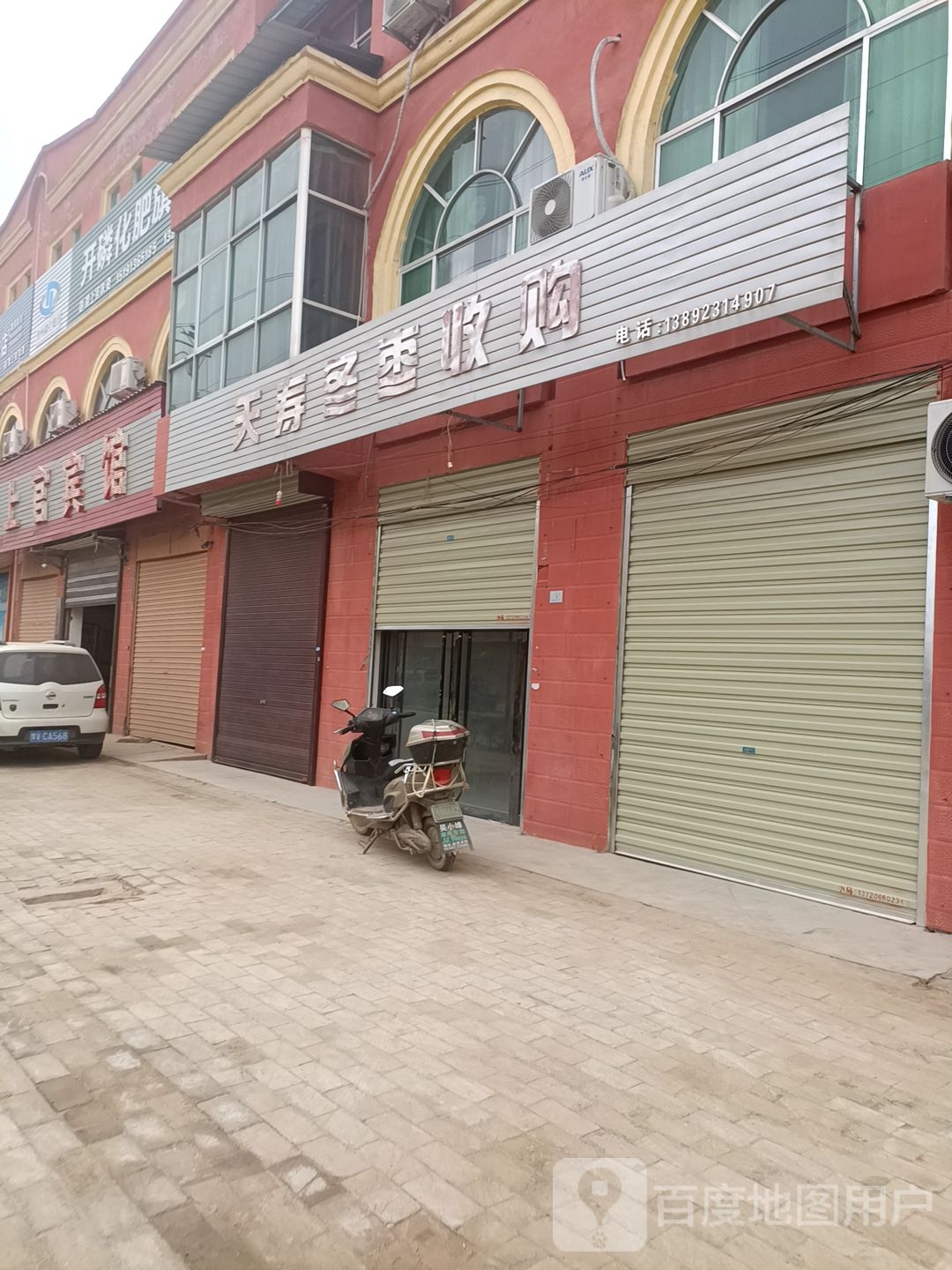 天寿冬枣收购