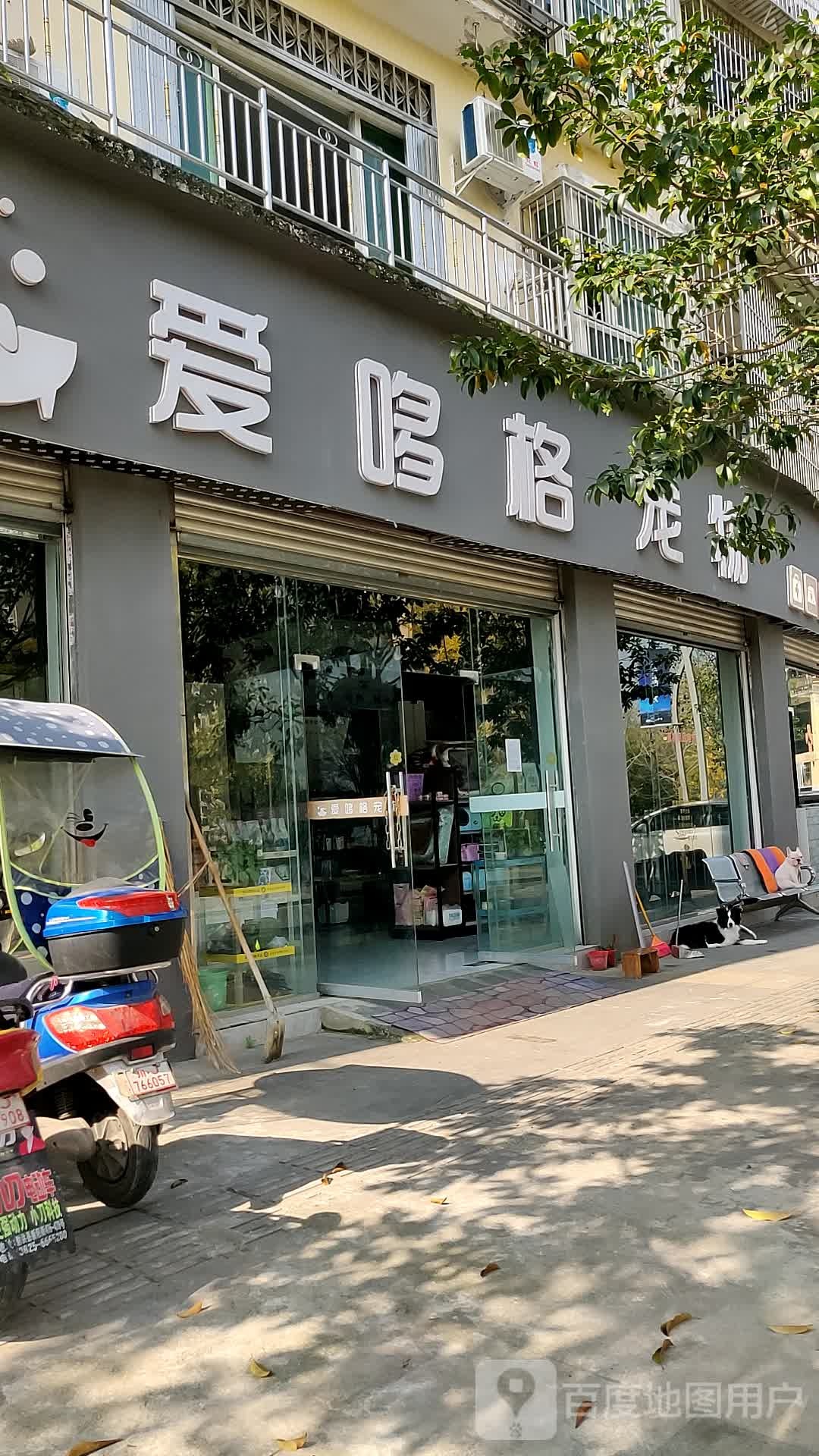 爱哆格宠物(射洪店)