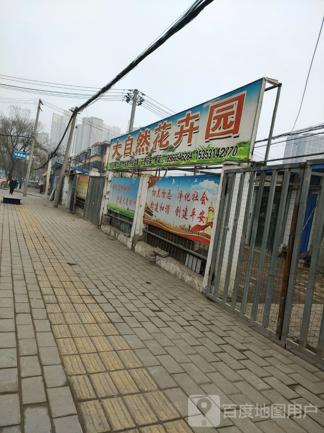 大自然花卉圆