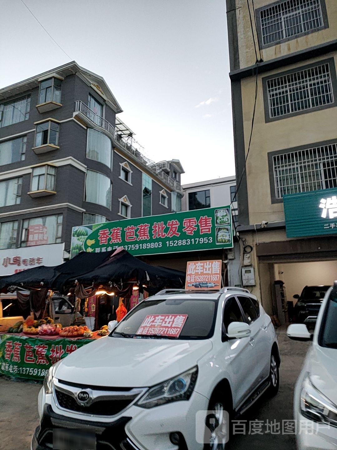 香蕉芭蕉批发零售