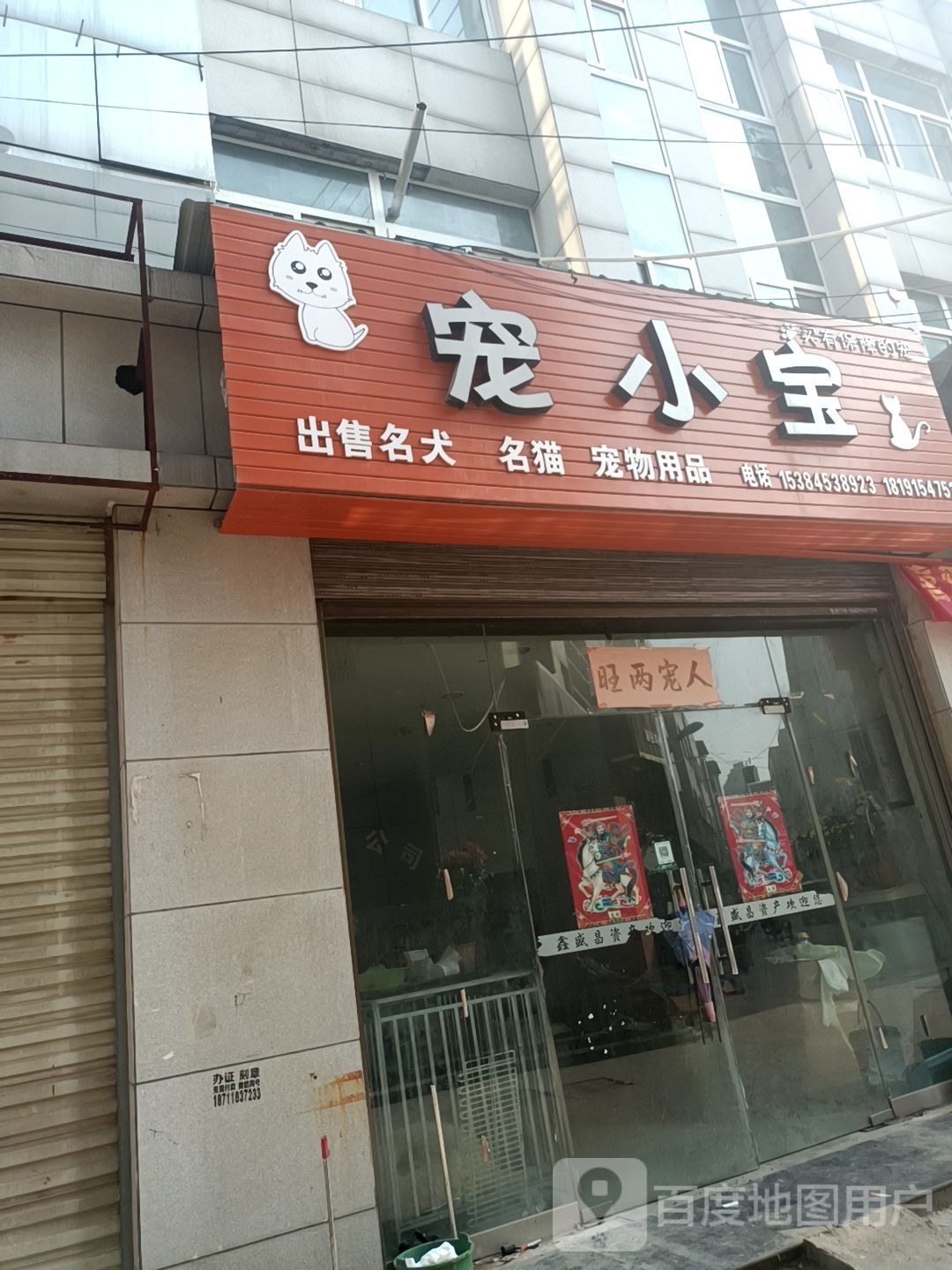 宠小宝宠物店