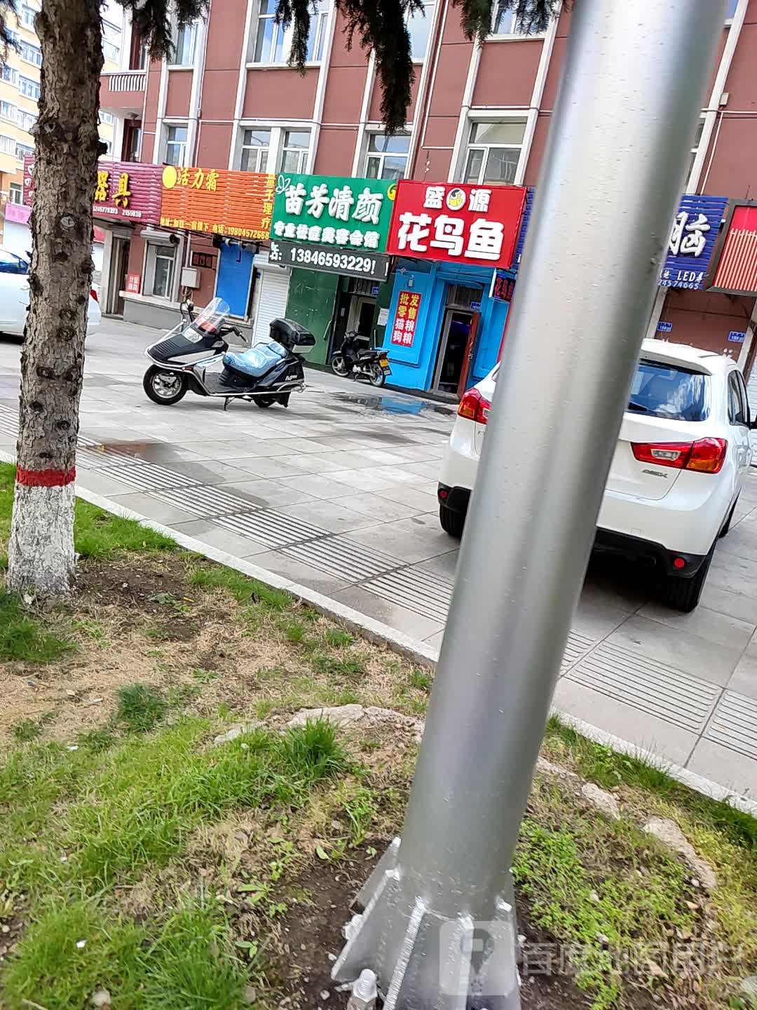 苗芳清颜(加格达奇店)