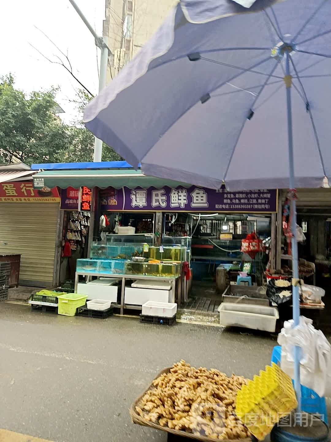 谭氏鲜鱼