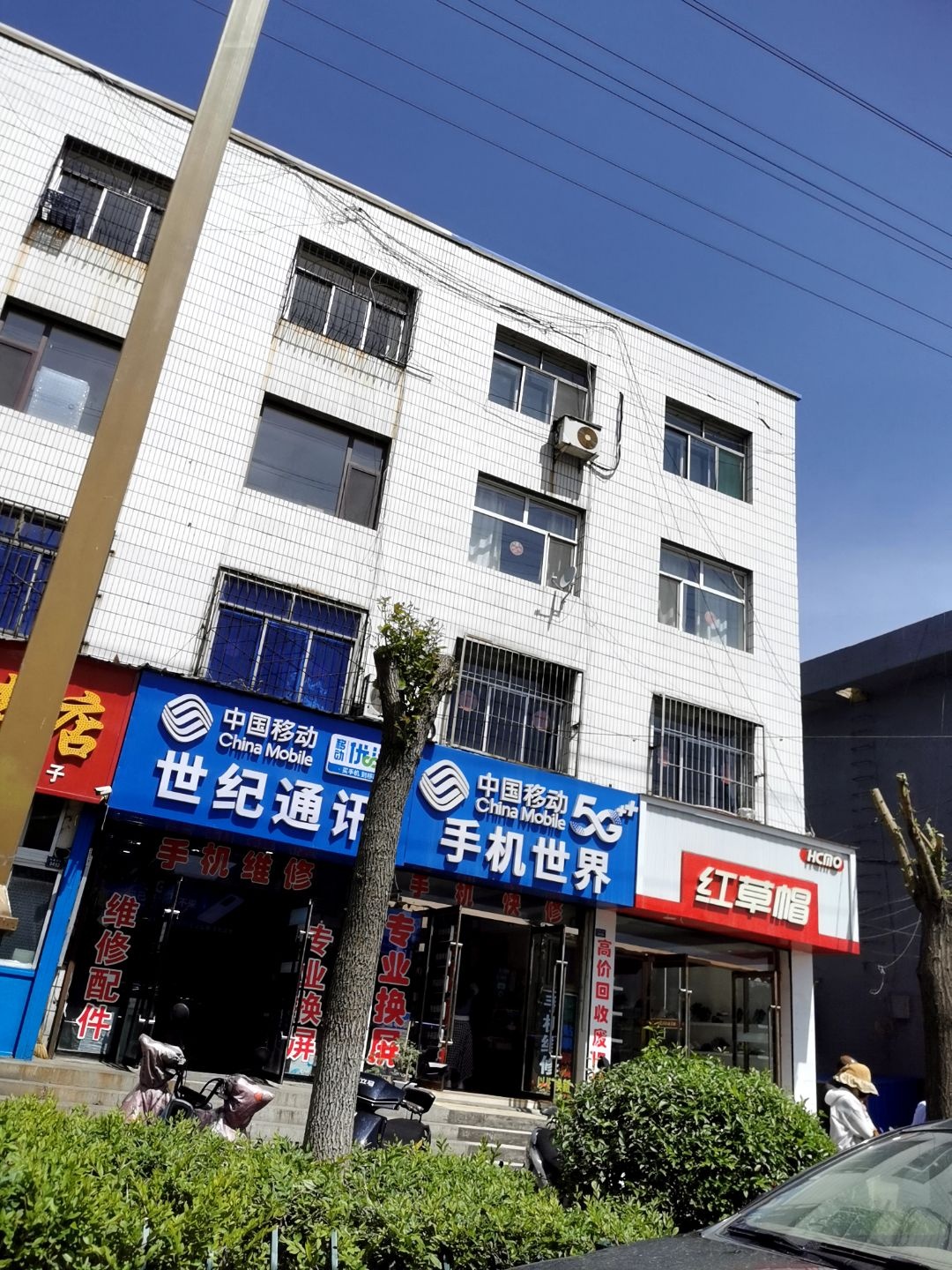 手机世界
