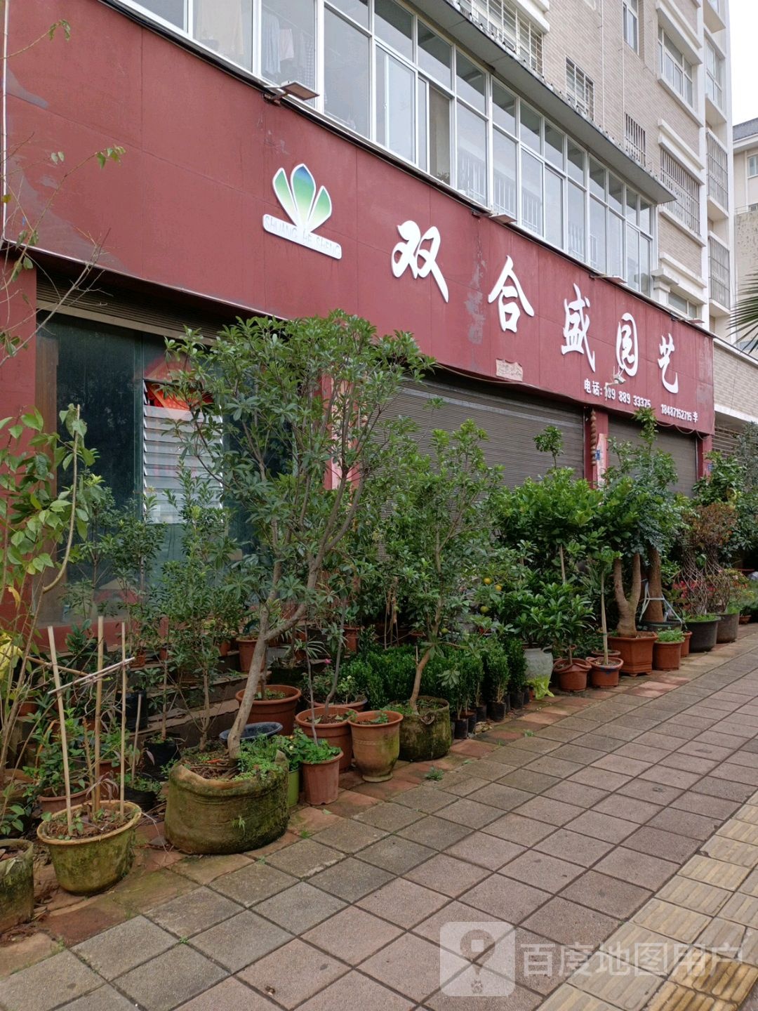双合盛园艺