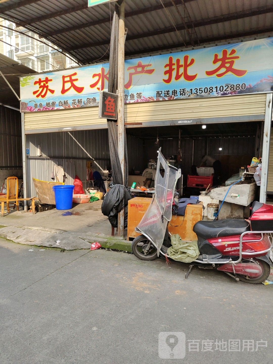 苏氏水产批发