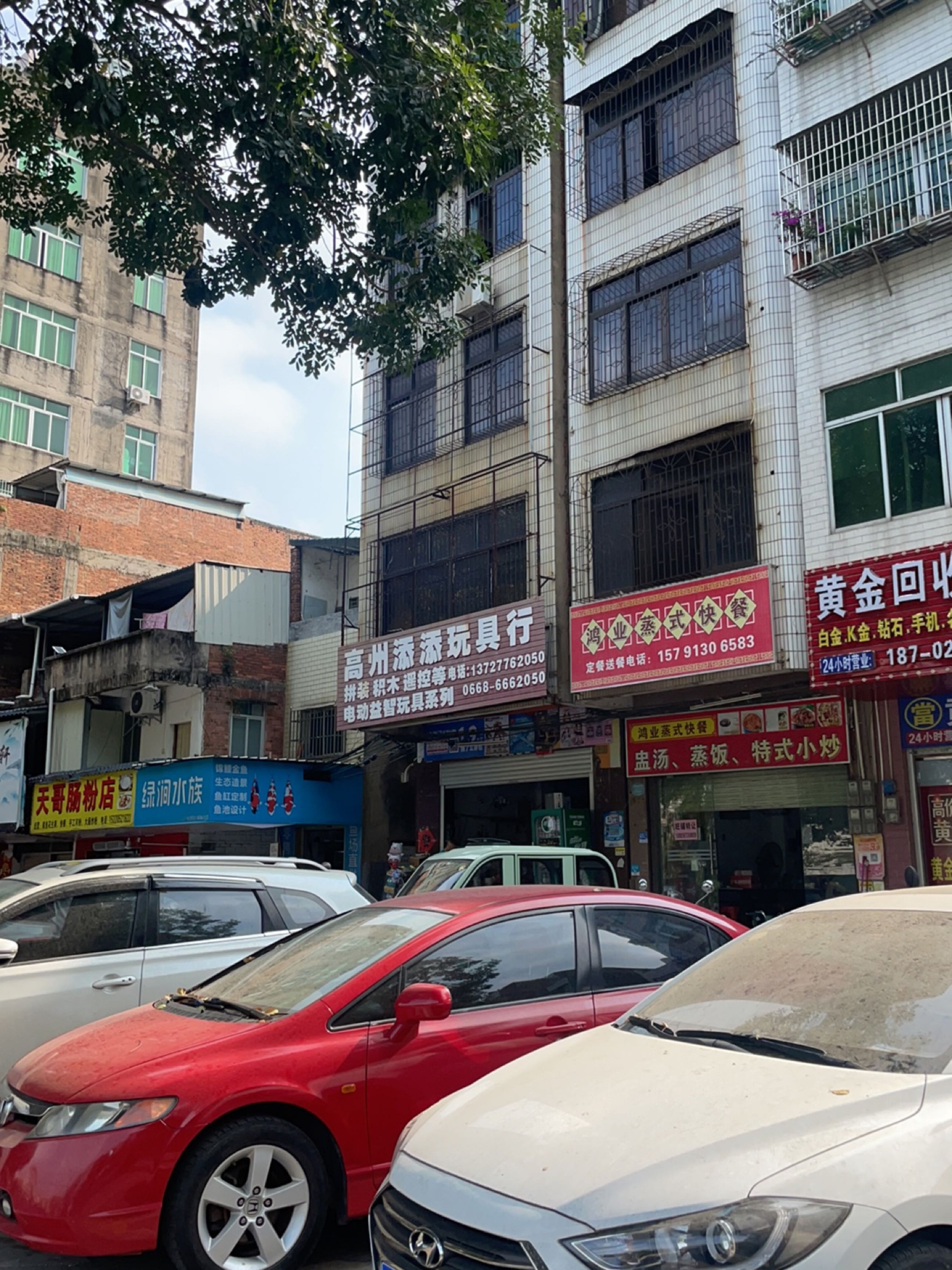 绿涧水族