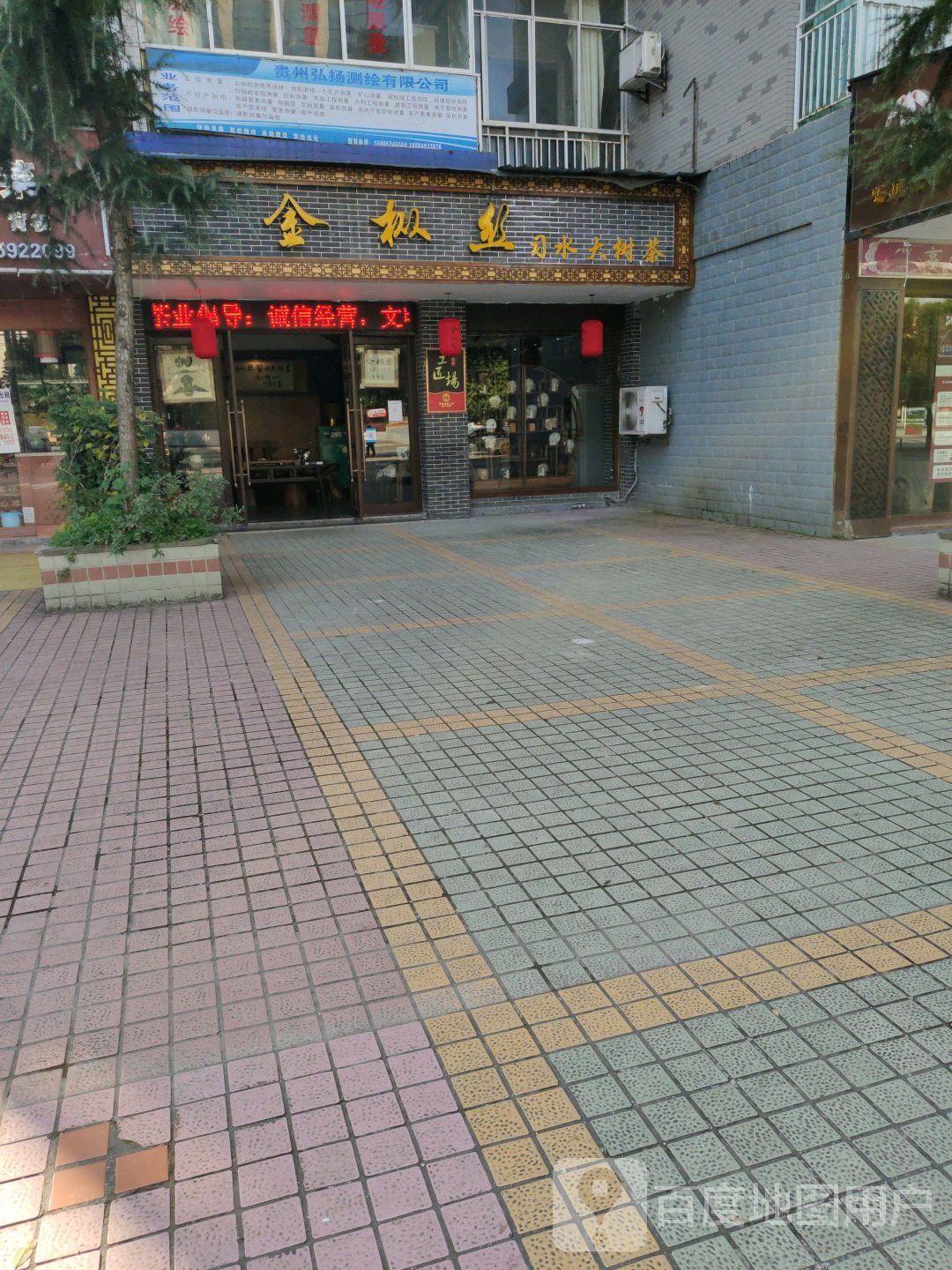 金枞丝习水大树茶