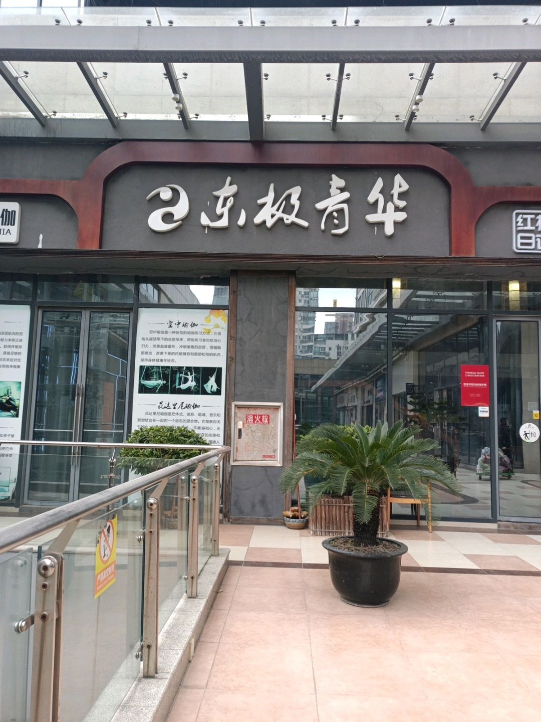 东极青华(金橄榄店)