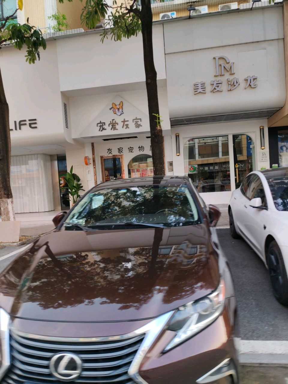 宠爱友家(东华路店)