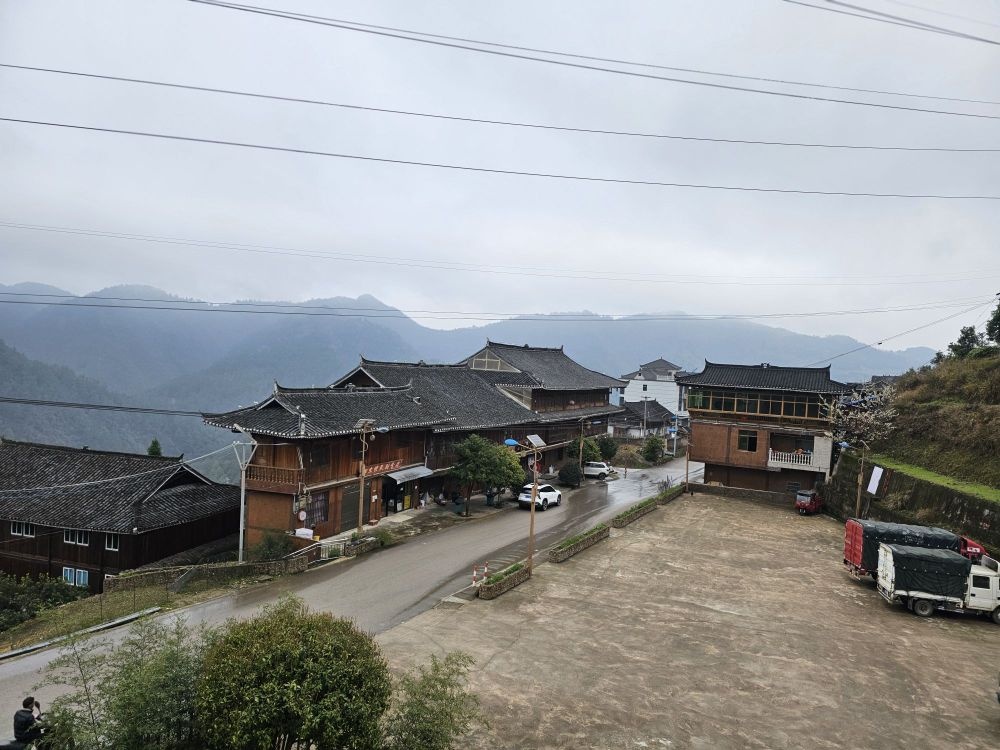 回生苗医堂