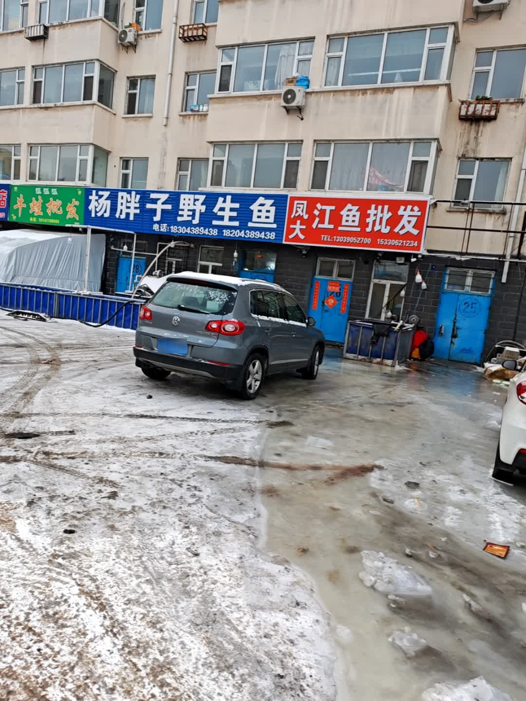 凤大江鱼批发