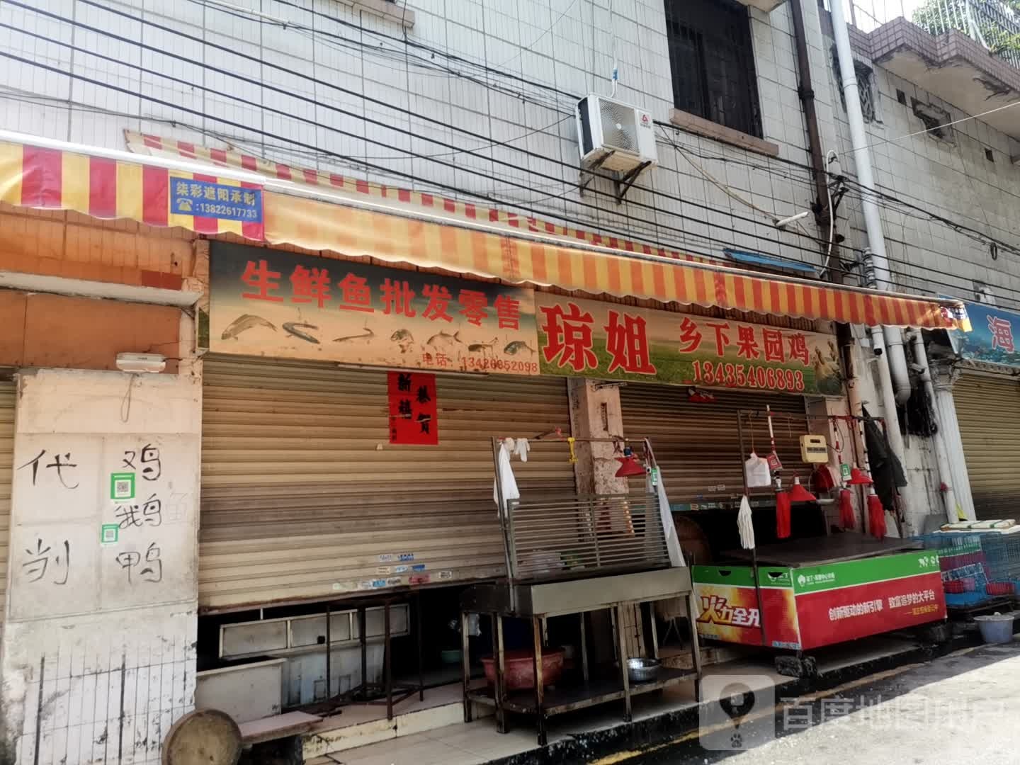 生鲜鱼批发零售