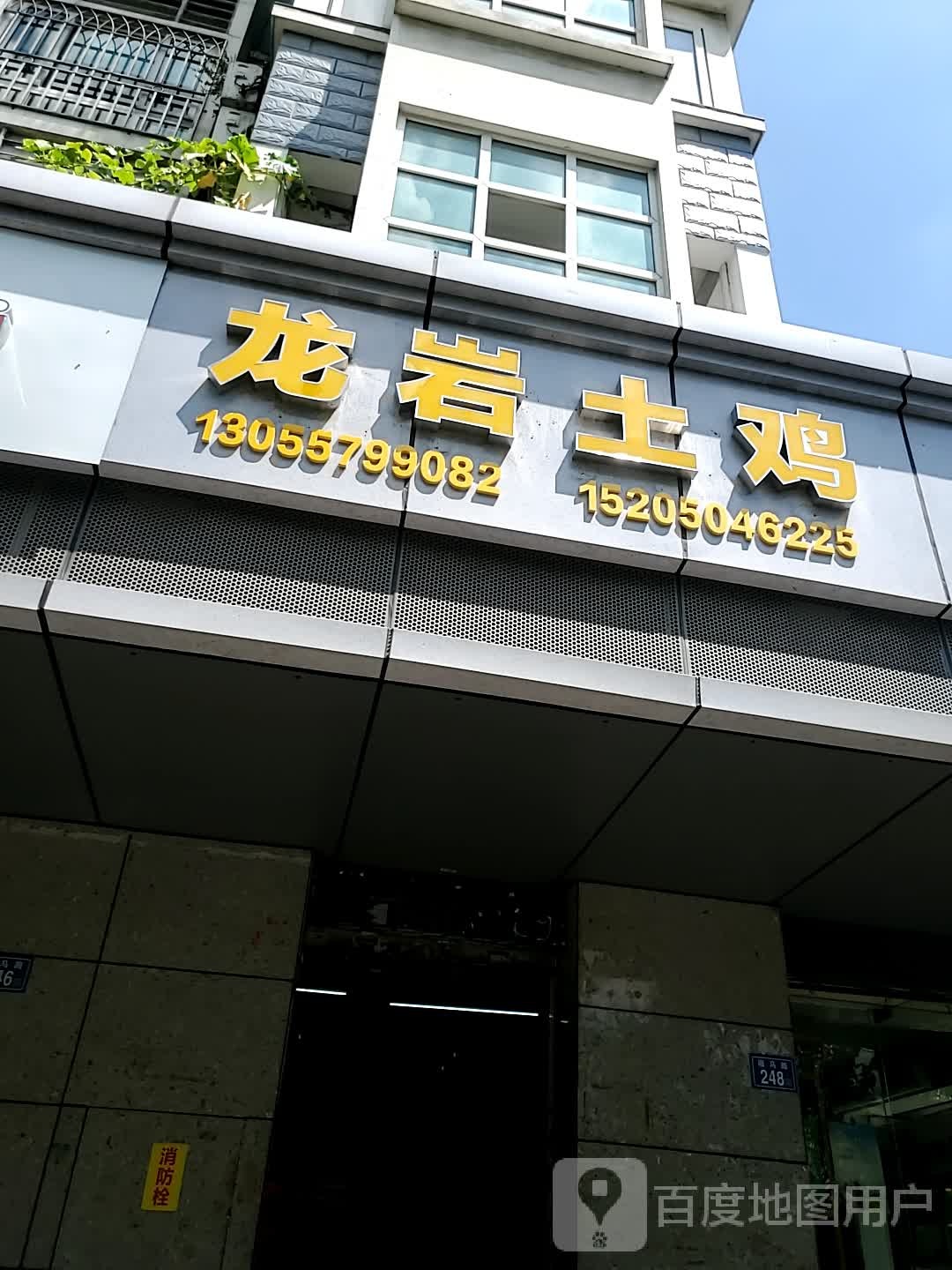 龙岩土鸡