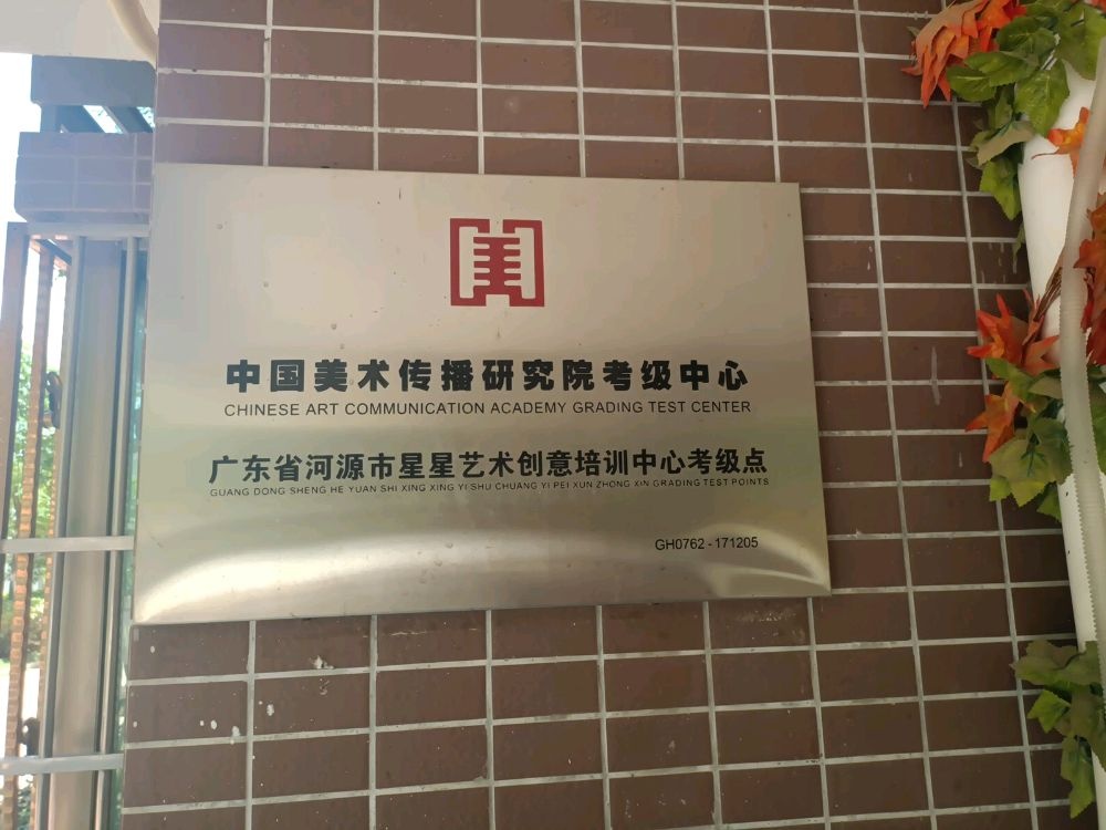 广东省河源市星星艺术培训中心