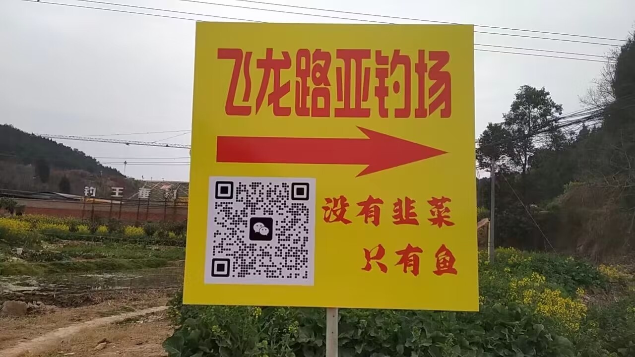 飞龙路亚钓场