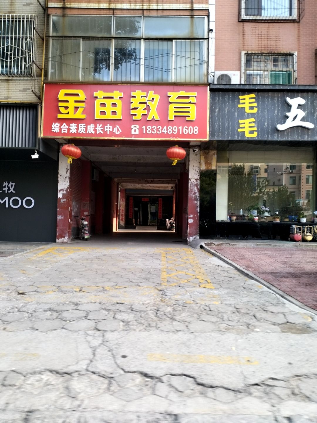 金苗教育
