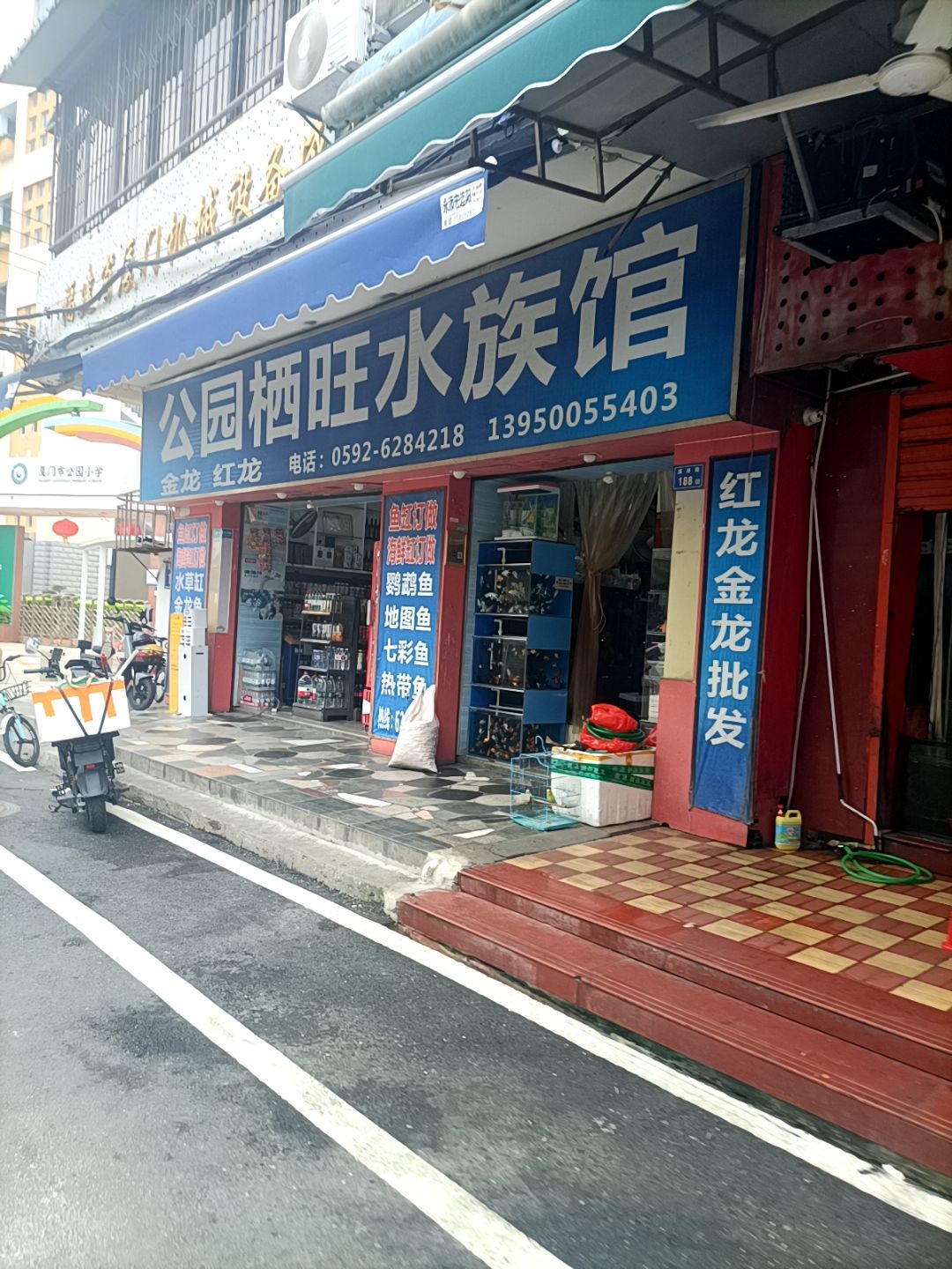 公园栖旺水族馆(鱼缸订做观赏鱼售卖)