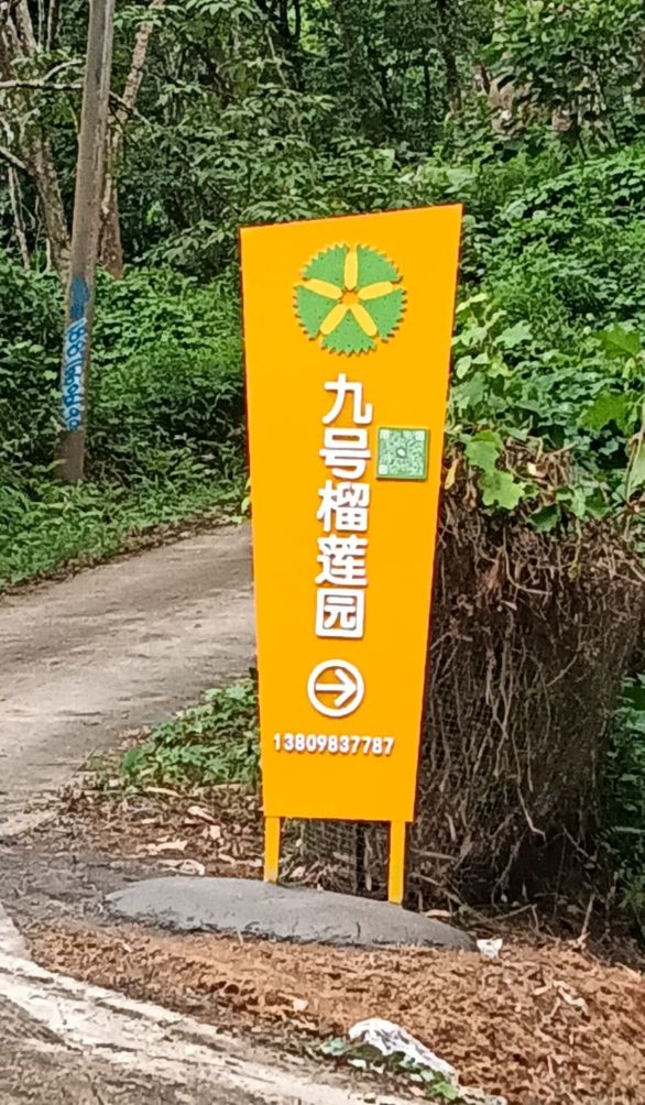 九号榴莲园