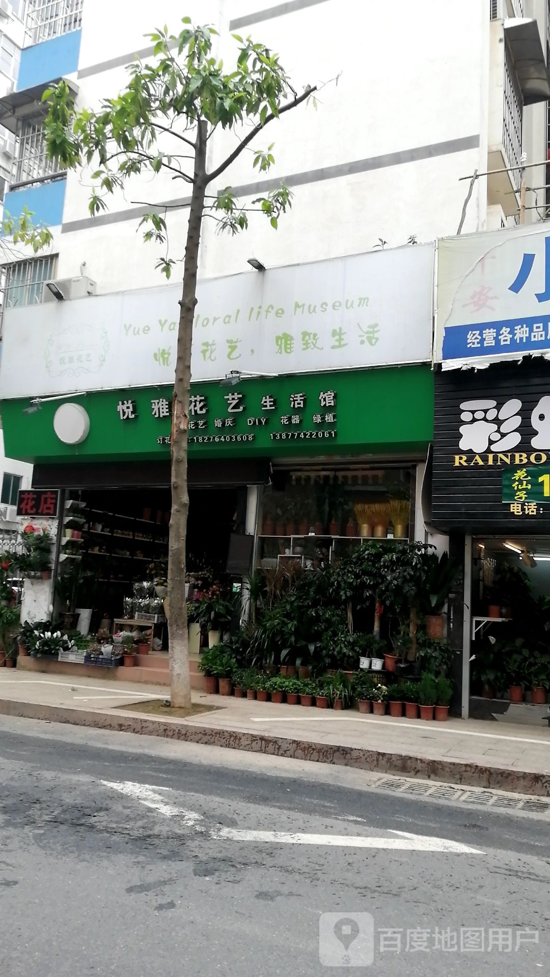 悦雅花艺生活馆(长洲新兴珠宝路店)
