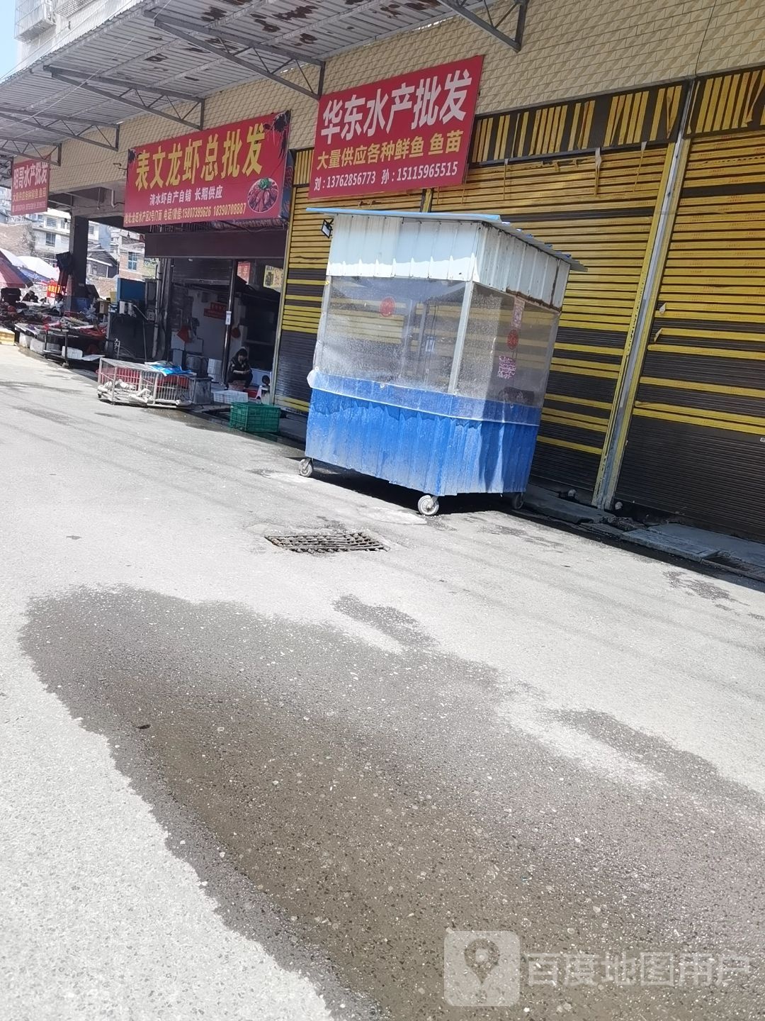 华东水产批发