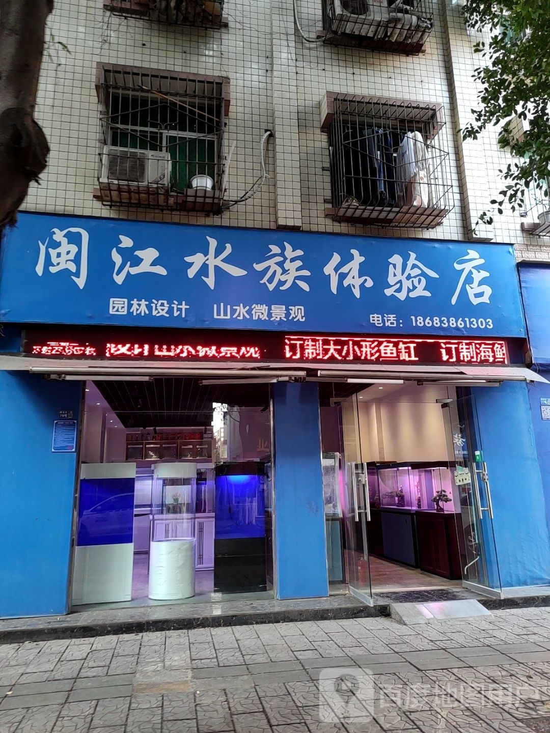 闽江水族体验店(芙蓉苑店)