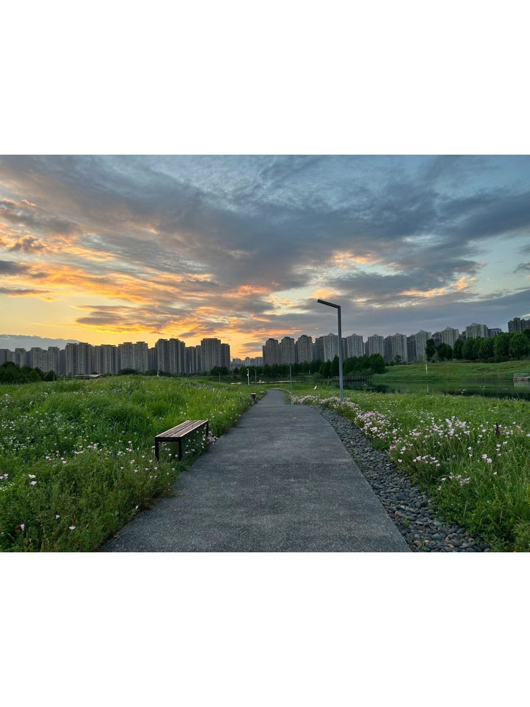 洋湖体育公园