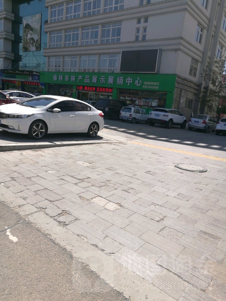 榆林市林产品展示展销中新