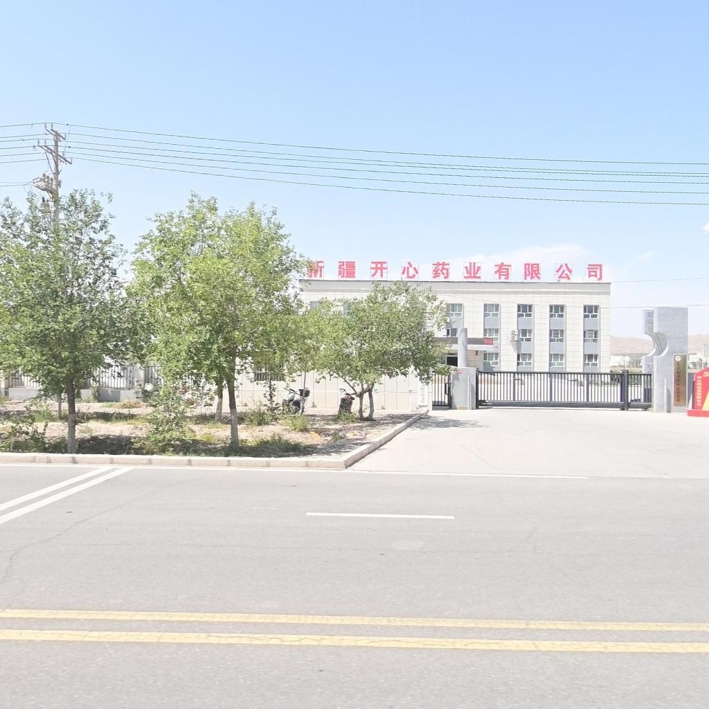 新疆开心药业有限公司