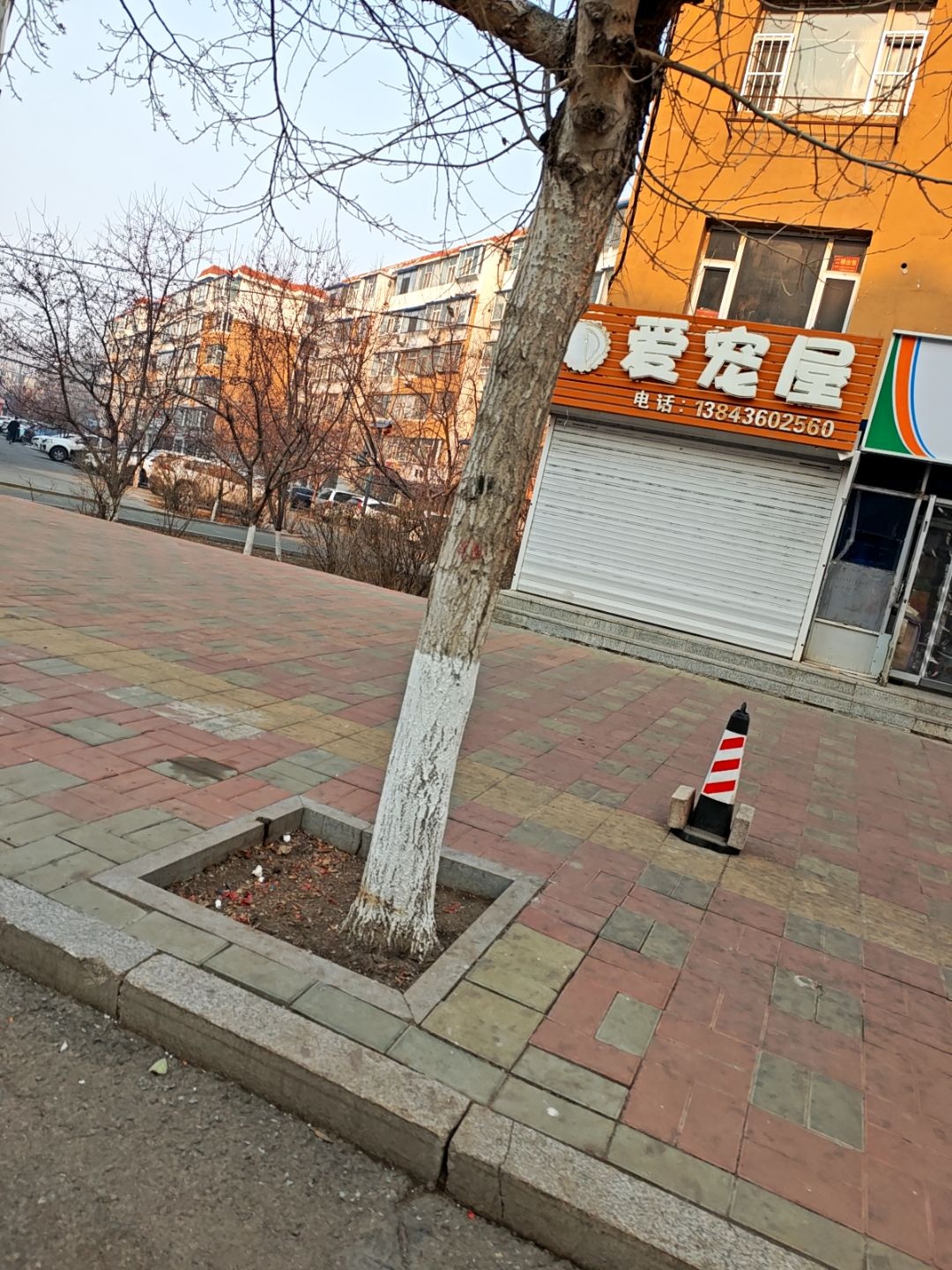 爱宠屋(麻纺路店)