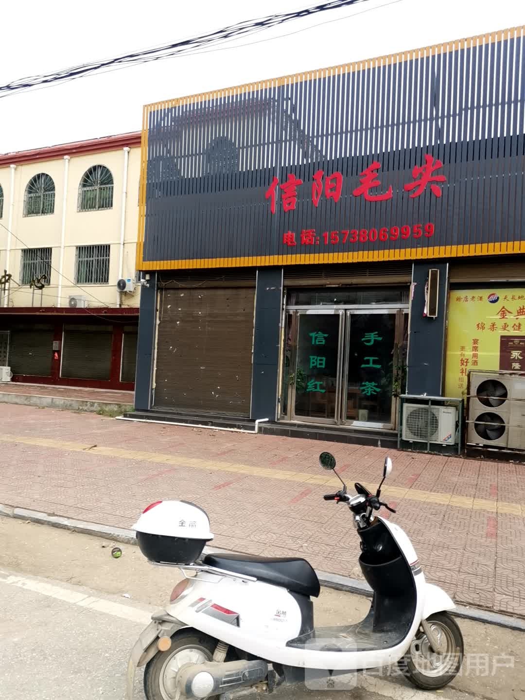 社旗县晋庄镇信阳毛尖(前进路店)