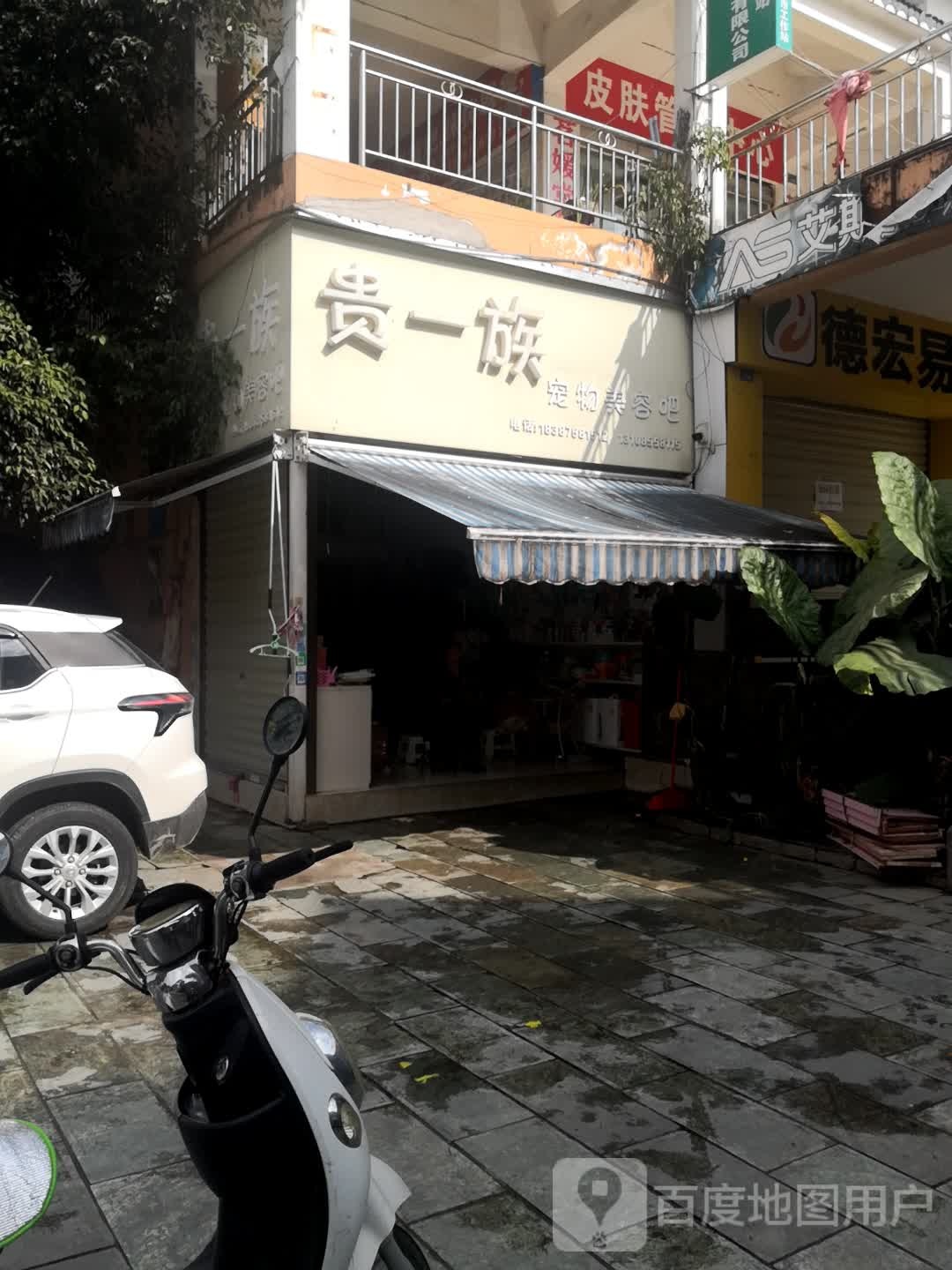 贵一族宠物美荣吧(三棵树风情街店)