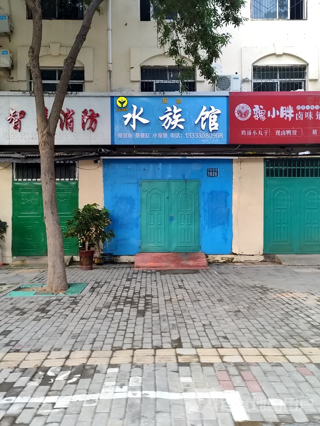 知鱼水族馆