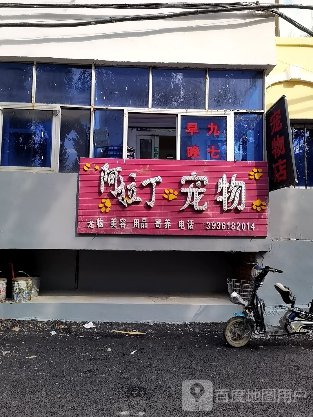 阿拉丁宠物店