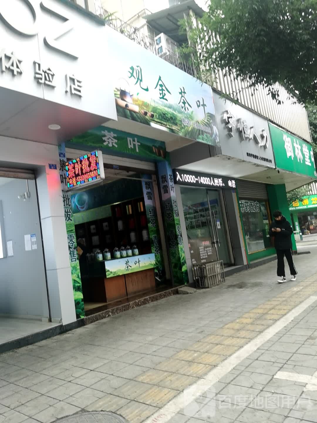 观金茶叶