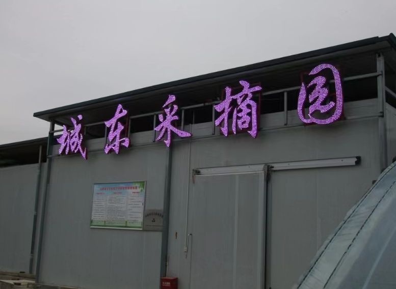 城东采摘园