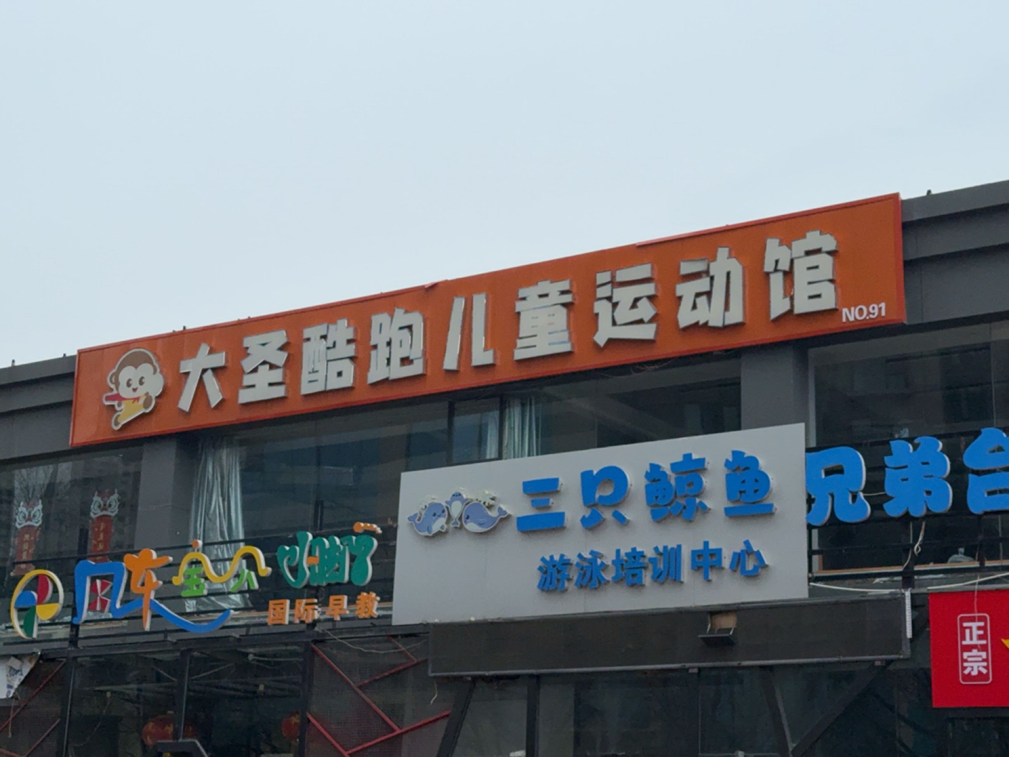 三只鲸鱼游泳培训中心