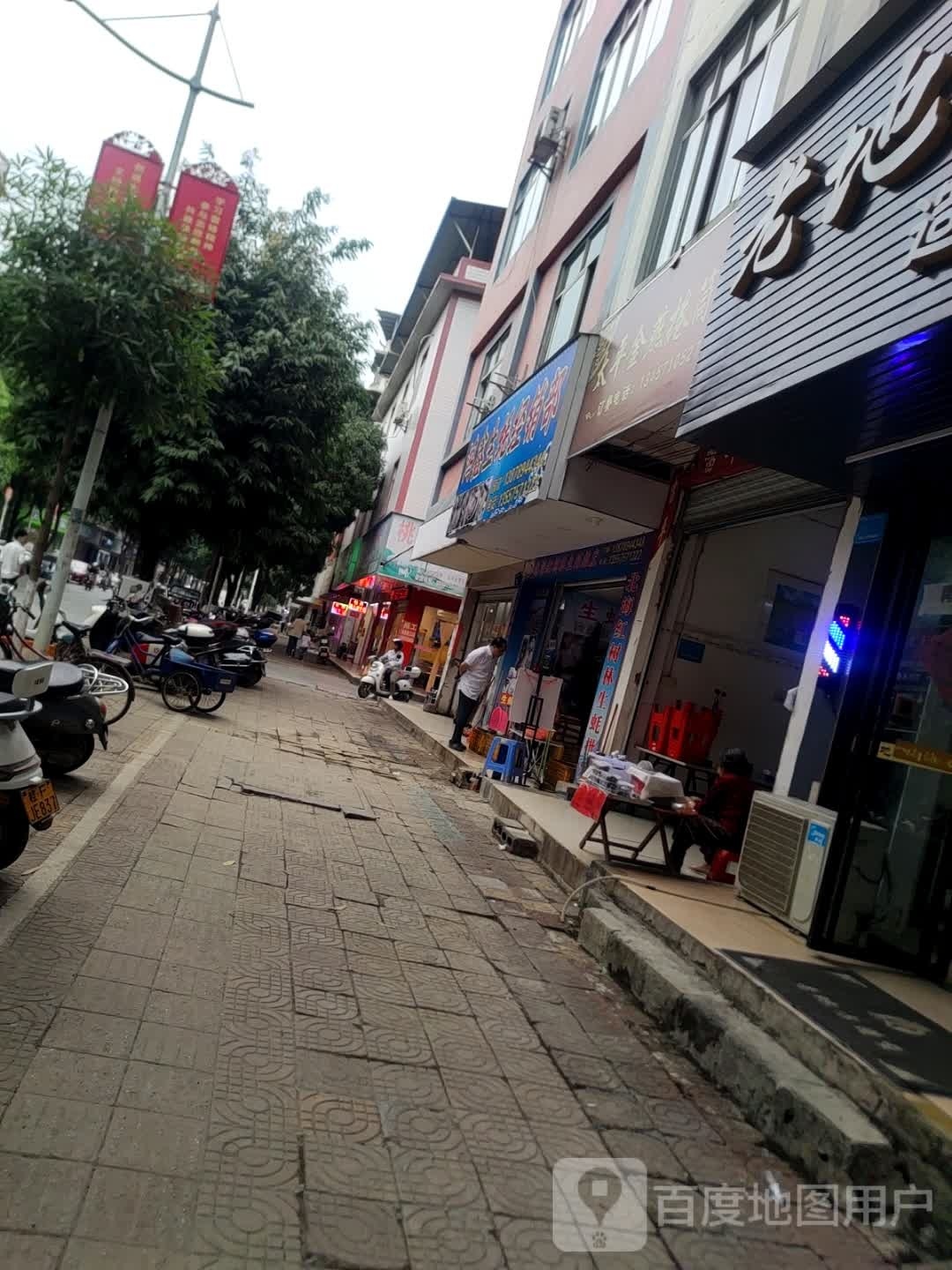 鸿鑫生蚝经销部